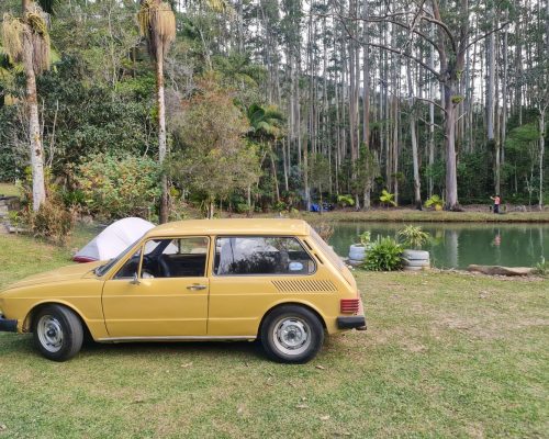 353093-volkswagen-brasilia-20250202115737347288